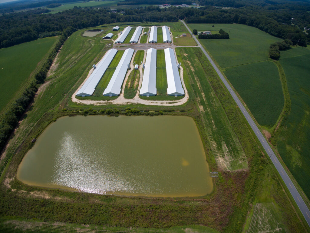 Aerial photo of a concentrated animal feeding operation near Denton, Maryland, permitted to hold nearly 300,000 chickens. Nearby residents worry about pollution. 